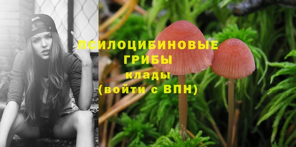 марки nbome Осинники