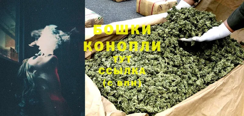 даркнет сайт  Нефтегорск  МАРИХУАНА OG Kush 